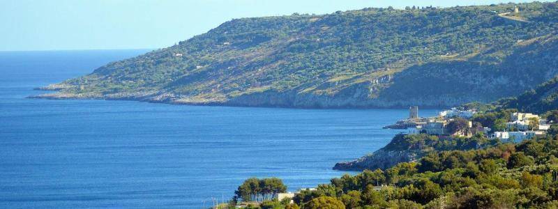 Hotel Il Vascello Marina Serra Kültér fotó